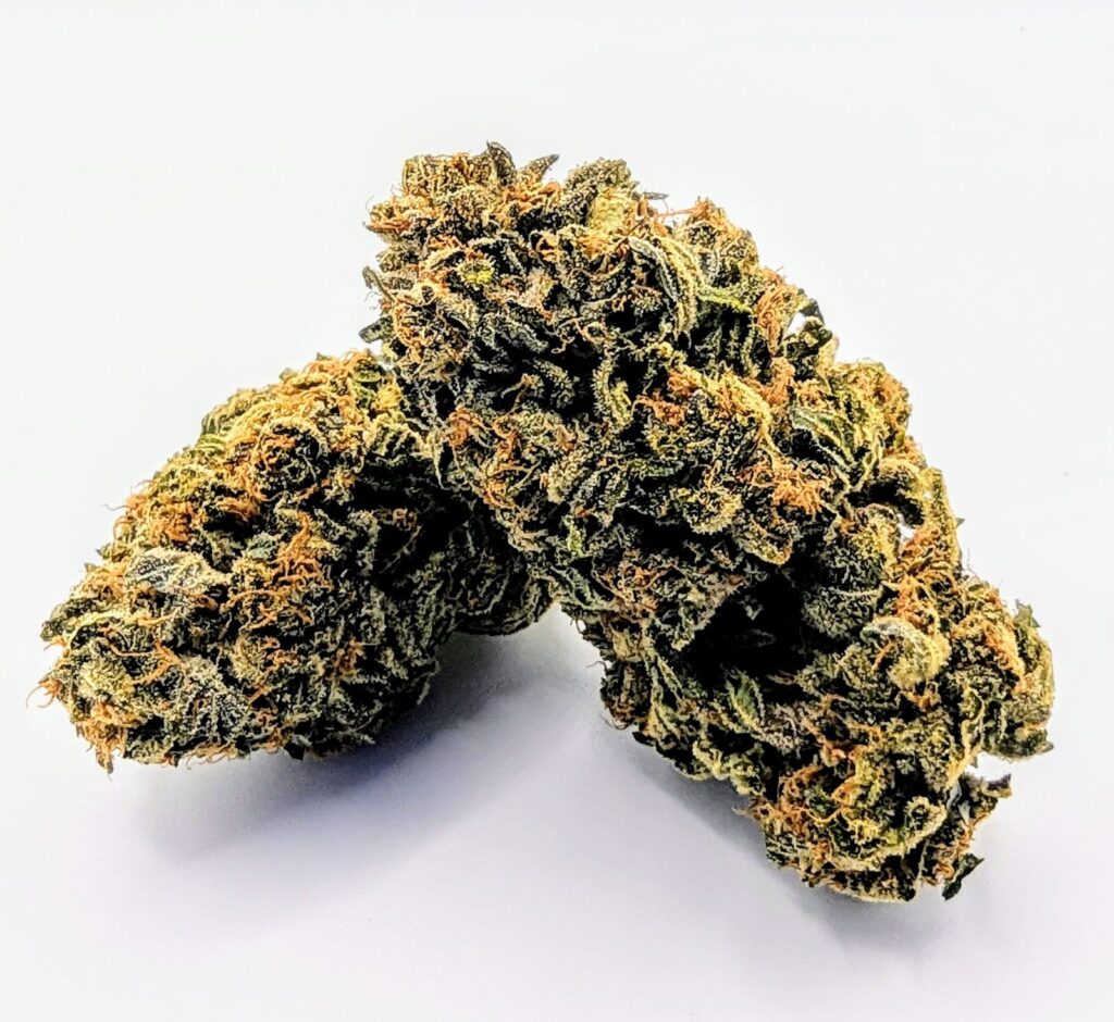 Blue Cheese (AAA+)