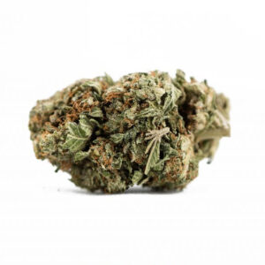 Bruce Banner (AAA)