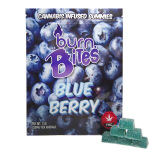 Burn Bites – Blueberry 250mg THC (10pcs x 25mg)