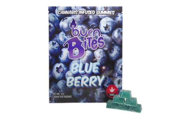 Burn Bites – Blueberry 250mg THC (10pcs x 25mg)